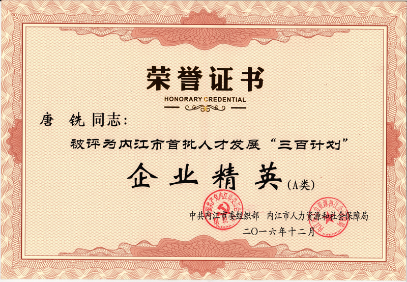 內江市首批人才發展三百計劃.jpg