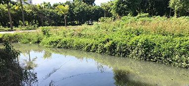 沿用城市思維？農(nóng)村黑臭水體治理“行不通”！